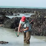 De France - La P'tite Mouette