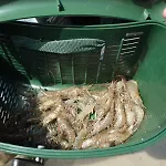 Semesterbostad De France - La P'tite Mouette