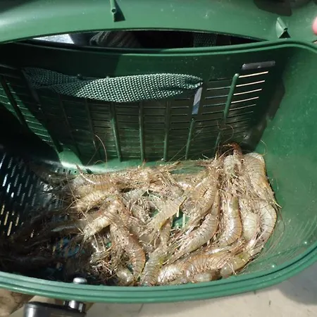 Holiday home Gite Gites De France - La P'Tite Mouette