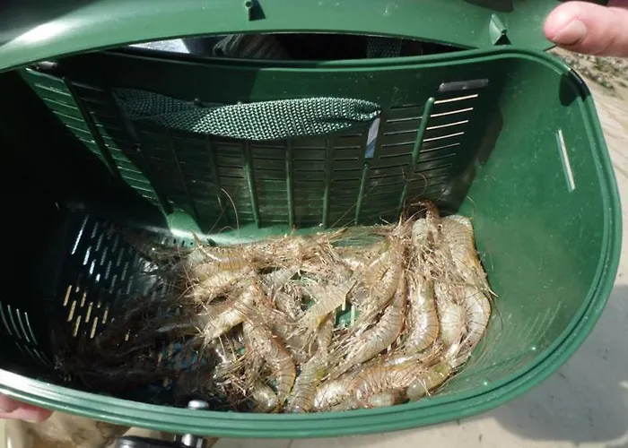 Holiday home Gite Gites De France - La P'Tite Mouette